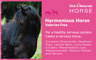 Harmonious VF for Horses